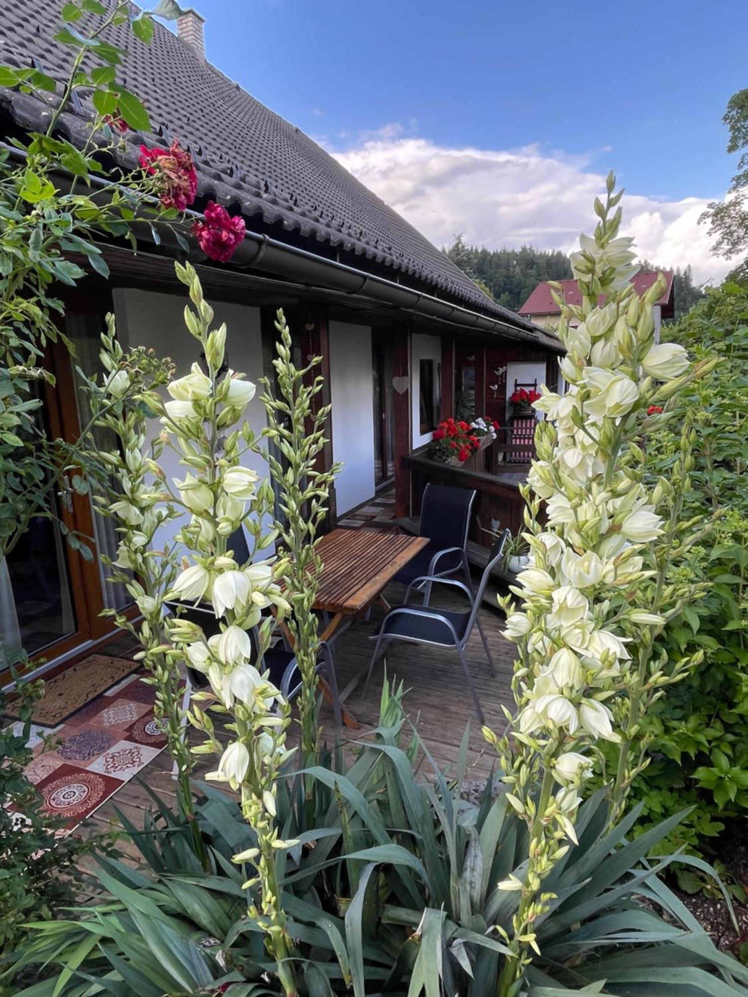 Apartments Wrolich Latschach ober dem Faakersee Екстер'єр фото